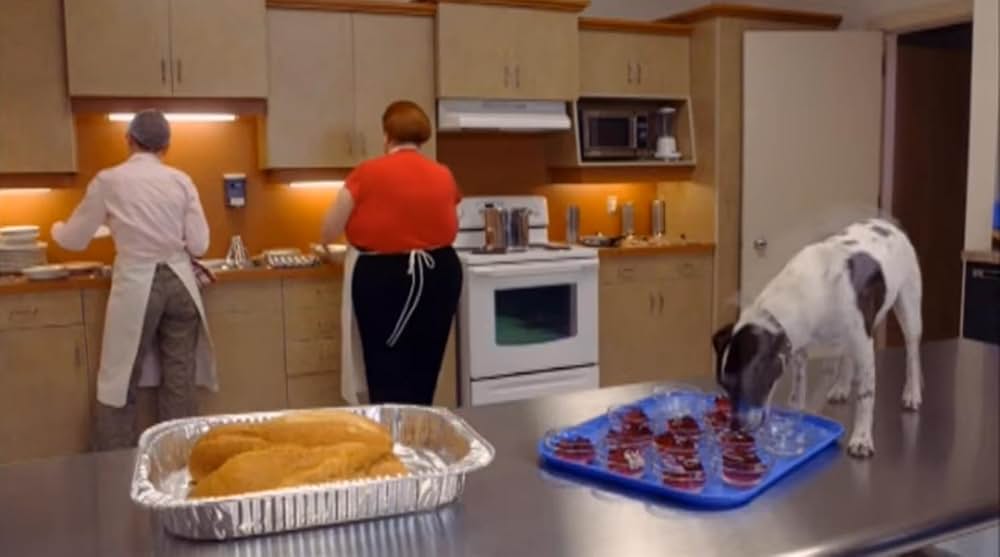 おしゃべり魔法犬ファンの画像