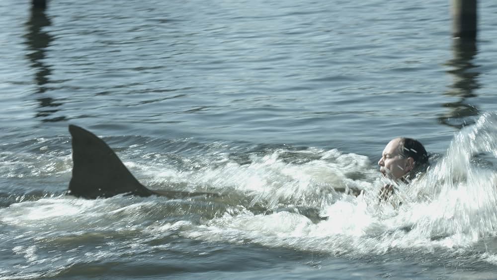 ゾンビシャーク 感染鮫の画像