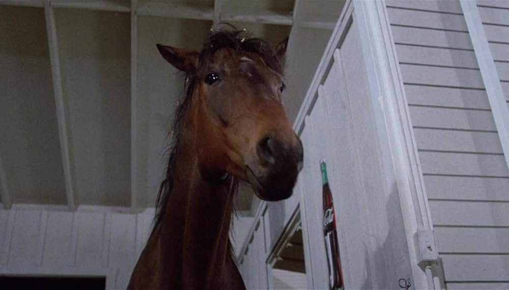 マネーゲームで大逆転／しゃべった！走った！もうかった！の画像