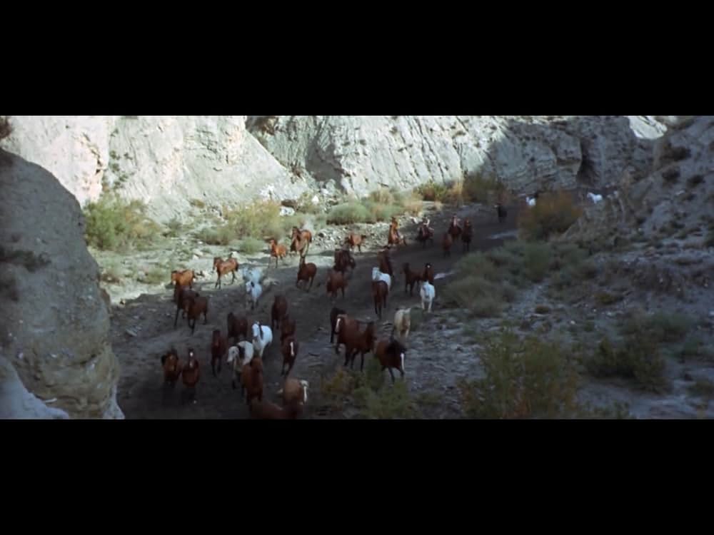 情無用のならず者の画像