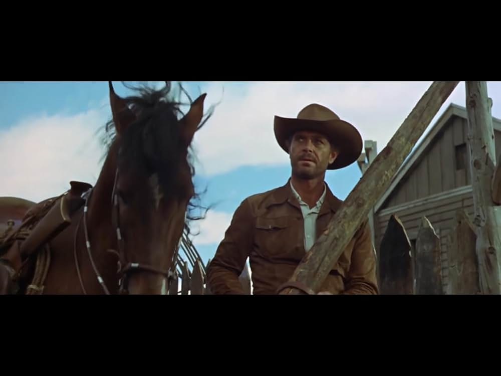 情無用のならず者の写真