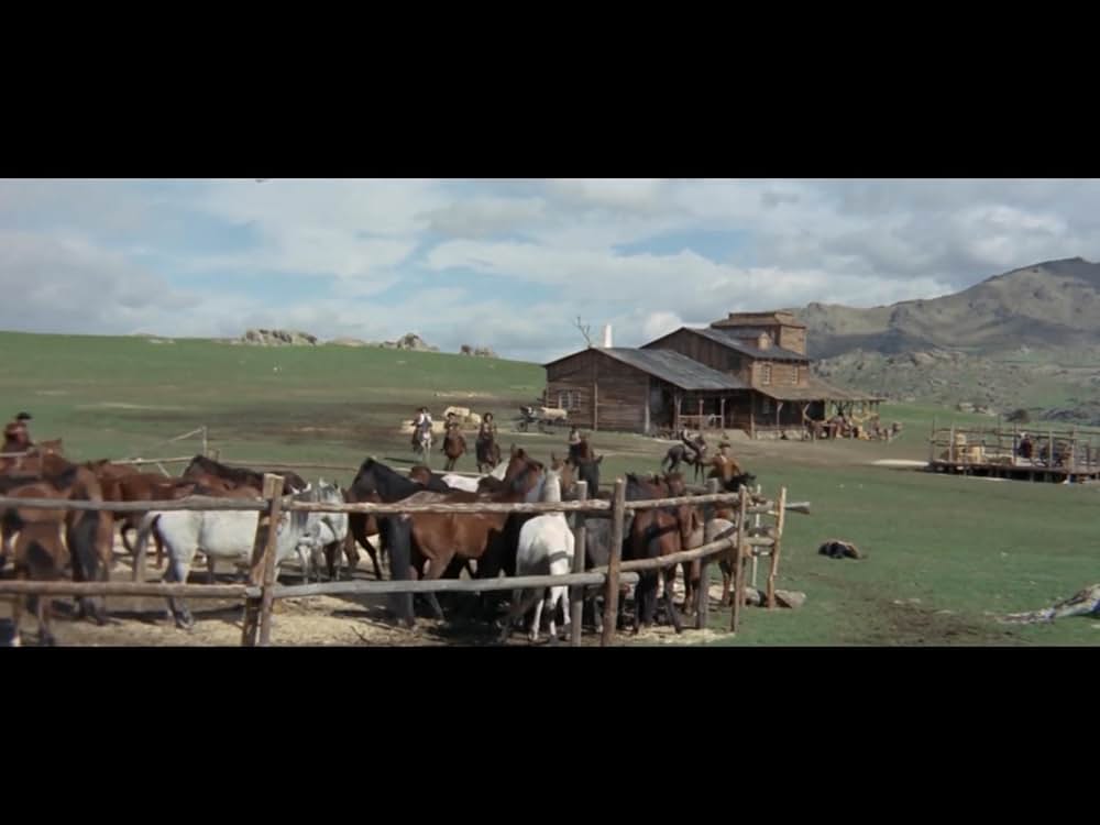 情無用のならず者の画像