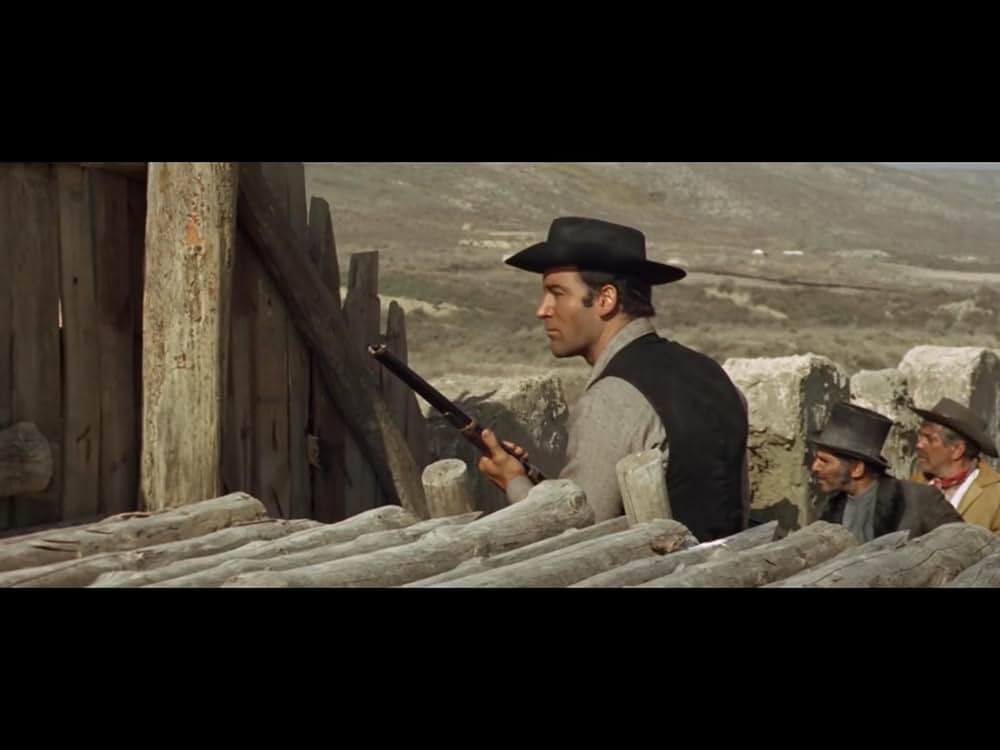 情無用のならず者の画像