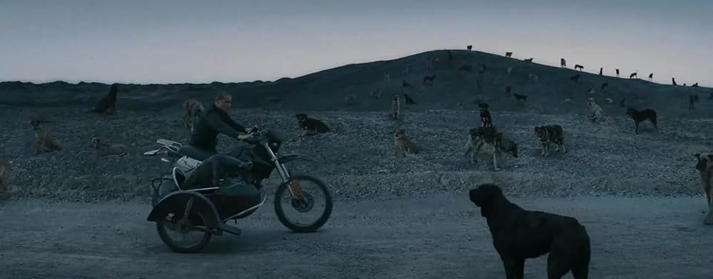 ブラックドッグの画像