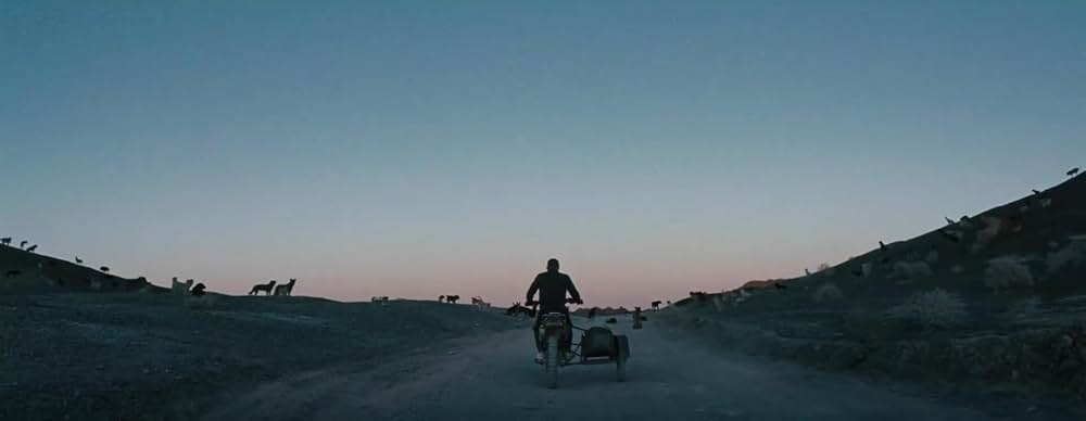 ブラックドッグの画像