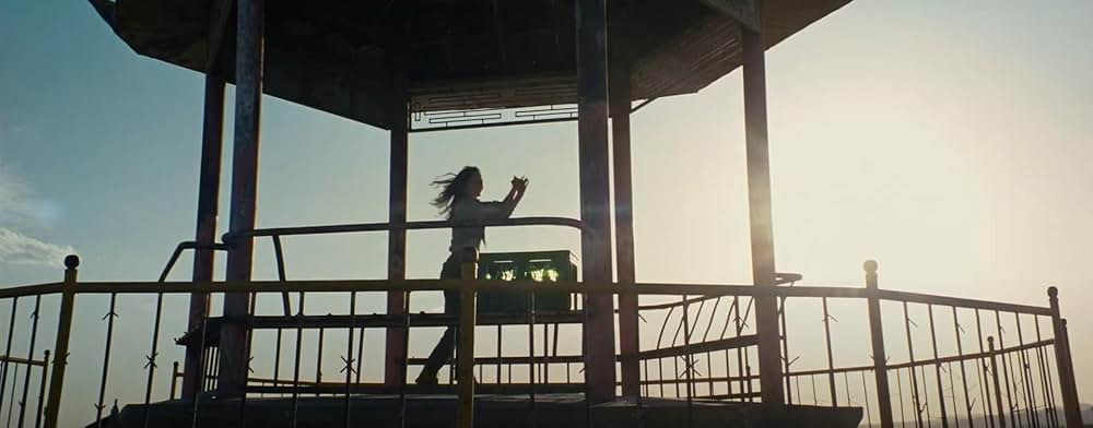 ブラックドッグの画像