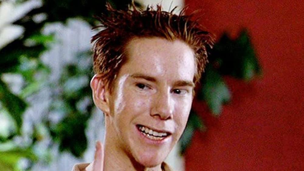 アメリカン・パイの画像