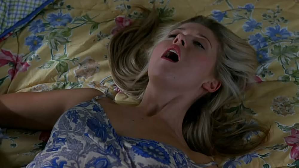 アメリカン・パイの画像