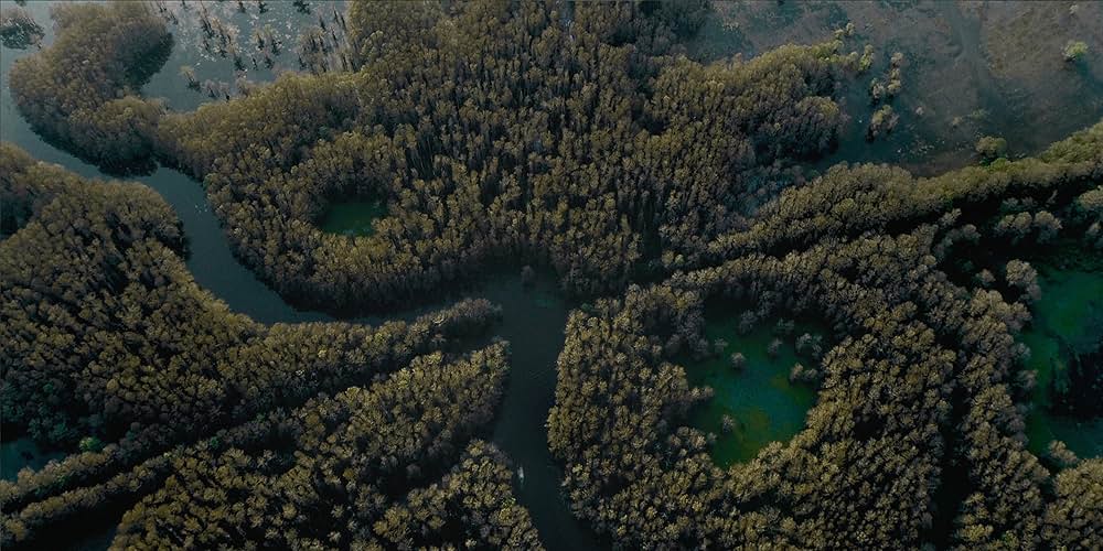 「キャドー湖の失踪」の画像