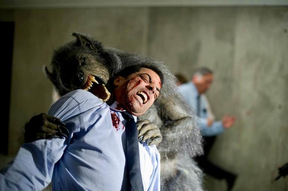 キャビンの画像