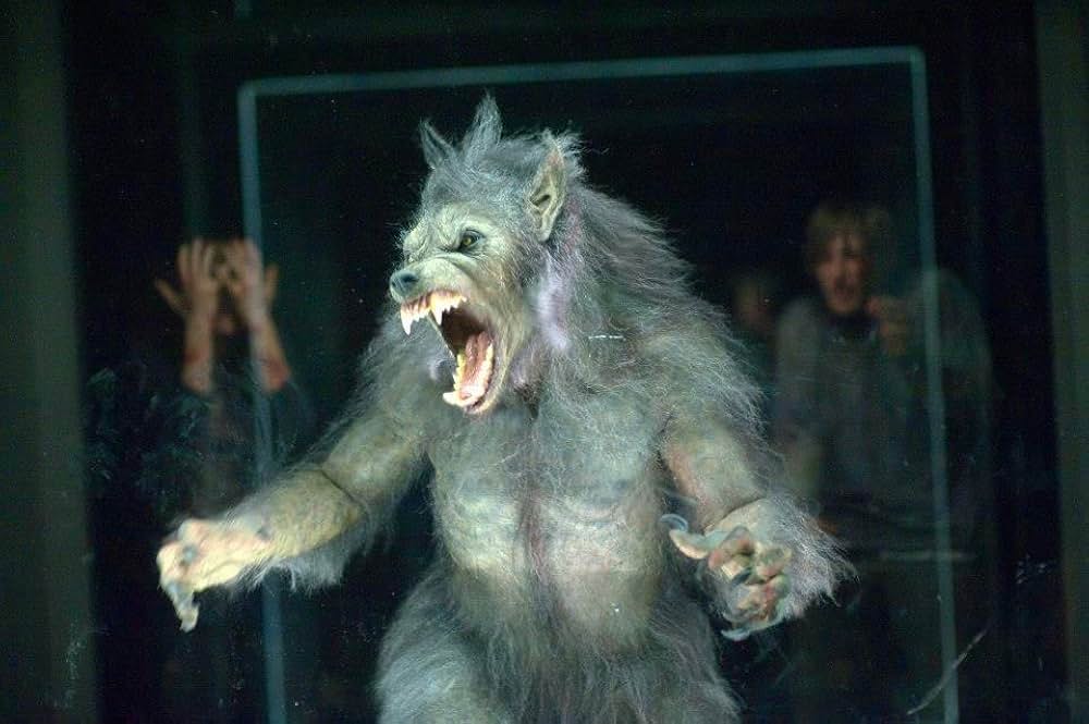 キャビンの画像