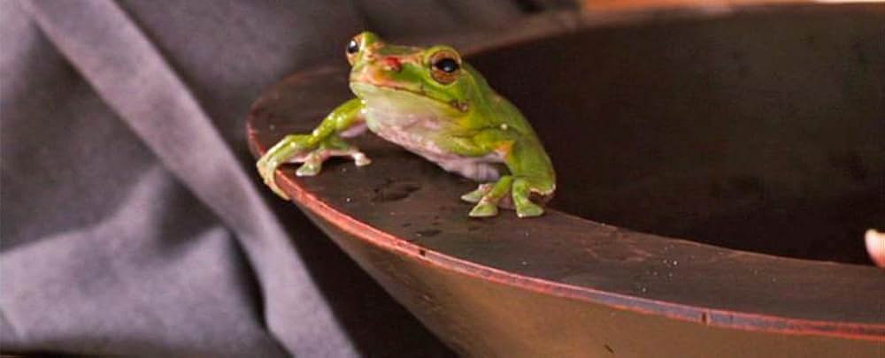 キャビンの画像