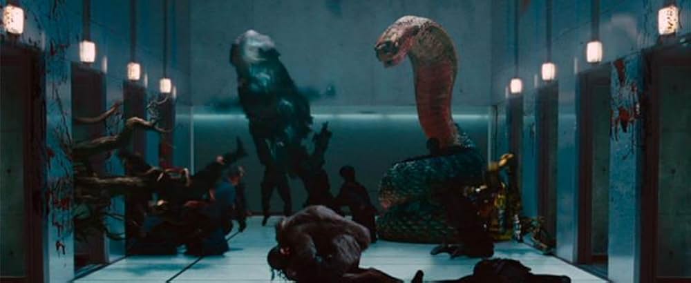 キャビンの画像