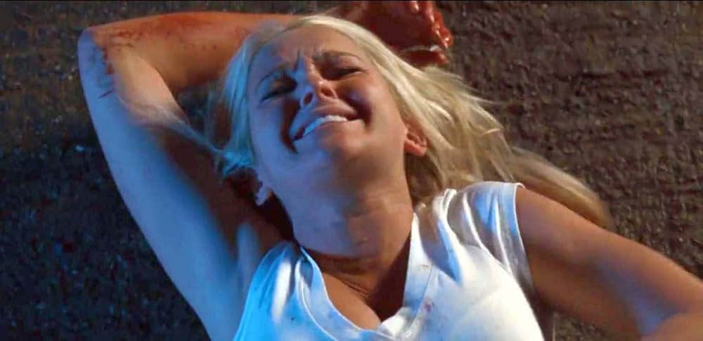 The Cottage（原題）の画像