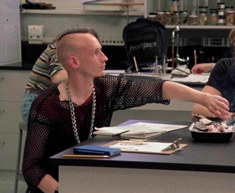 ヒース・レジャーの恋のからさわぎの画像