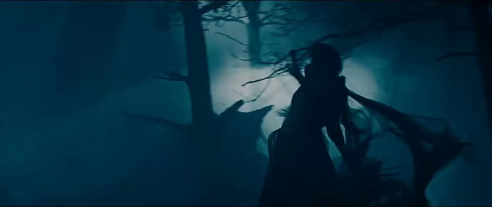 イントゥ・ザ・ウッズの画像