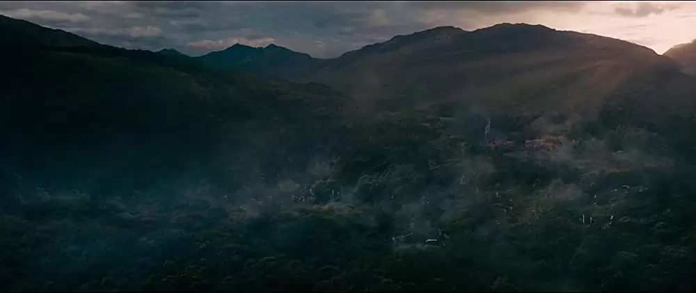 イントゥ・ザ・ウッズの画像