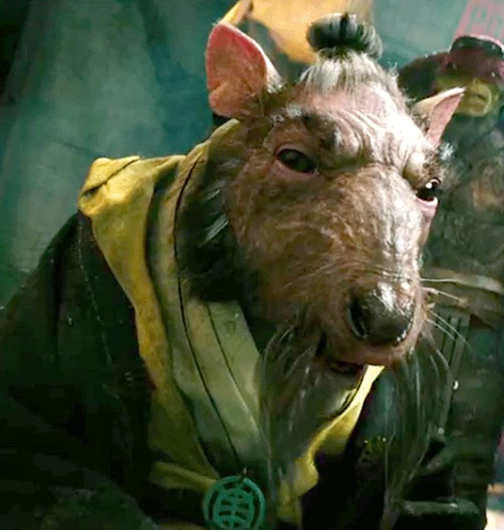 「ミュータント・タートルズ」トニー・シャルーブ & ダニー・ウッドバーンの画像