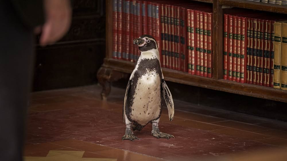 ペンギン・レッスンの画像