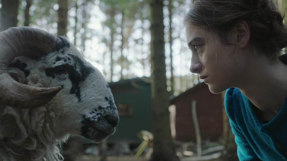 The Other Lamb（原題）の画像