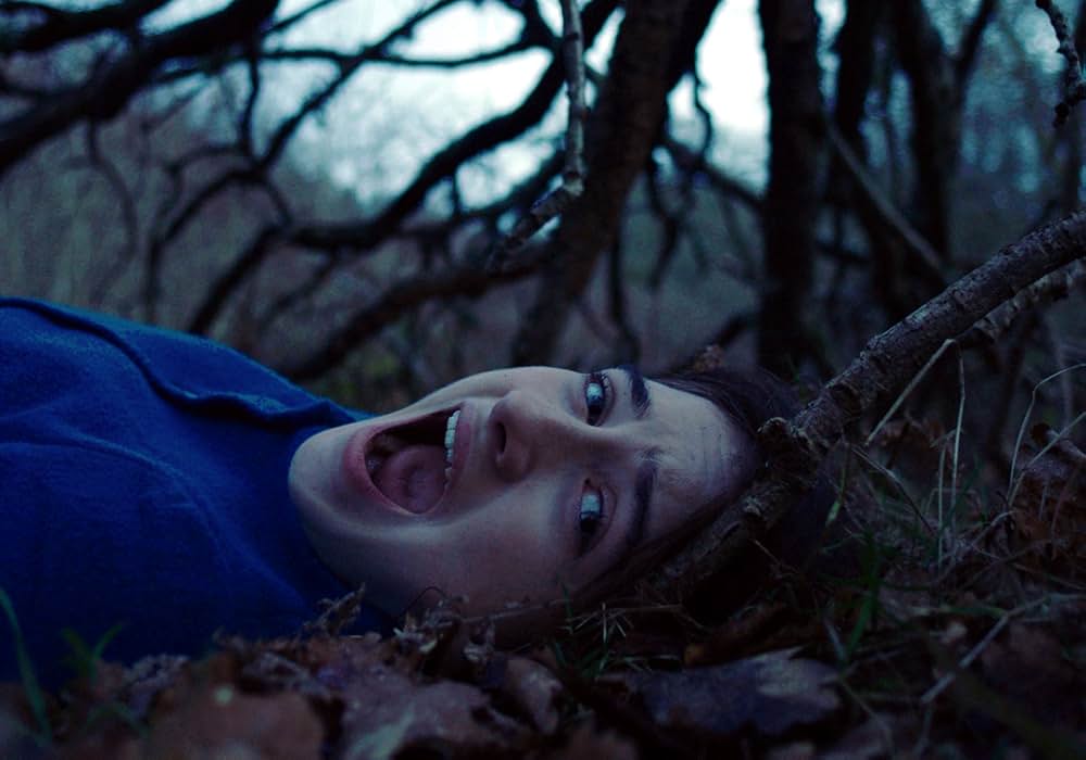 The Other Lamb（原題）の画像