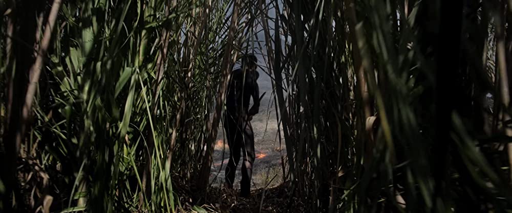 アフター・アースの画像