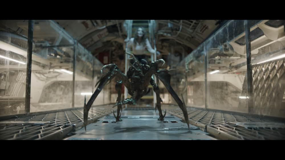 ネス湖の巨大生物 ネッシーを捕獲せよ！！の画像