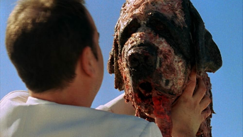 Saint Bernard（原題）の画像