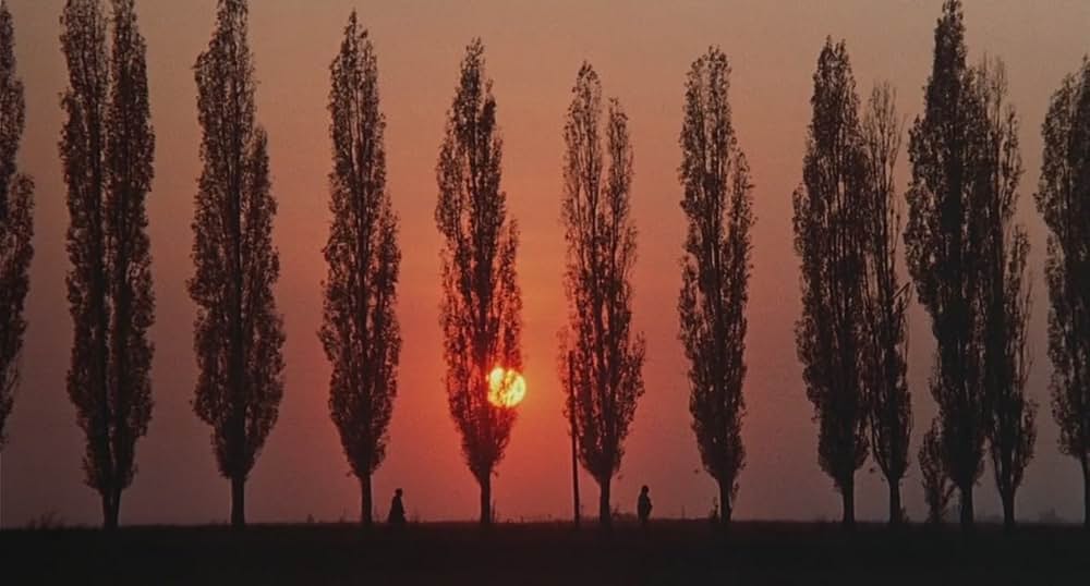 メル・ブルックスの命がけ！イス取り大合戦の画像