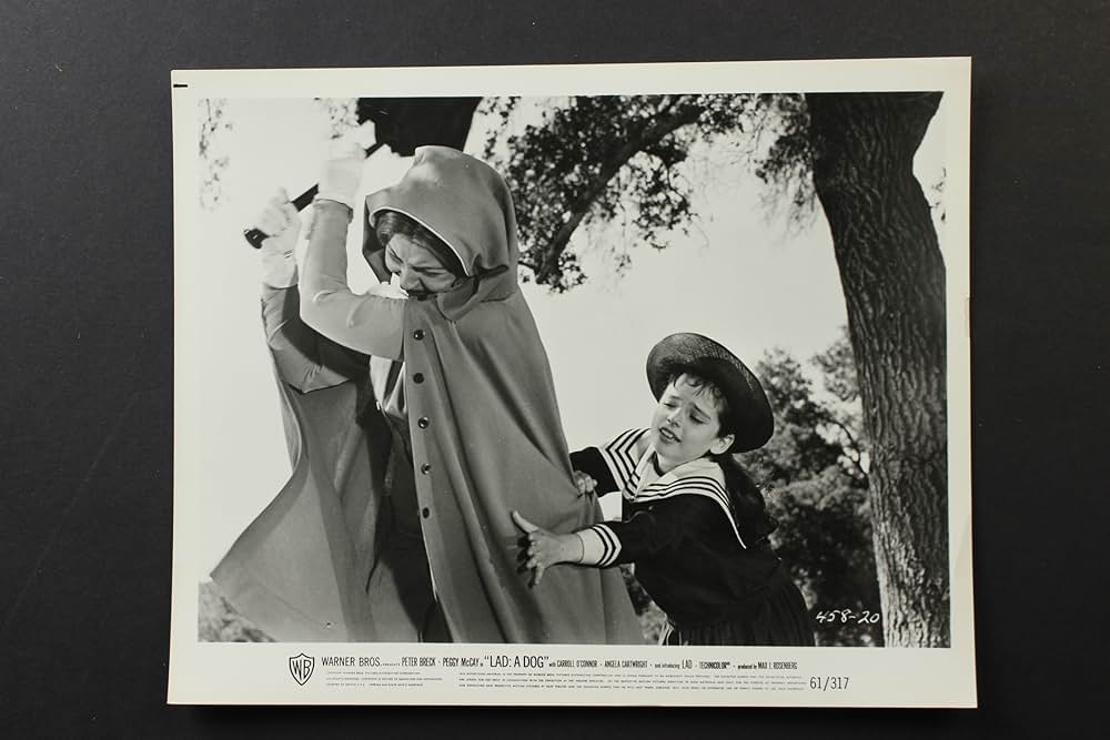 名犬ラッドの画像