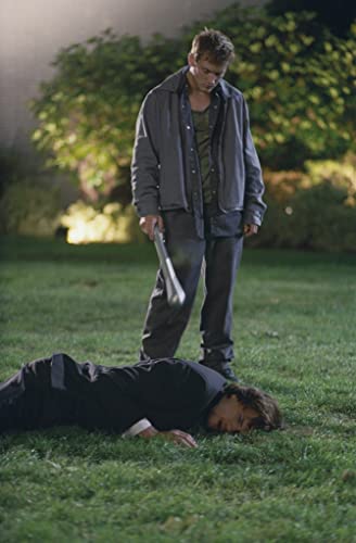 バタフライ・エフェクトの画像