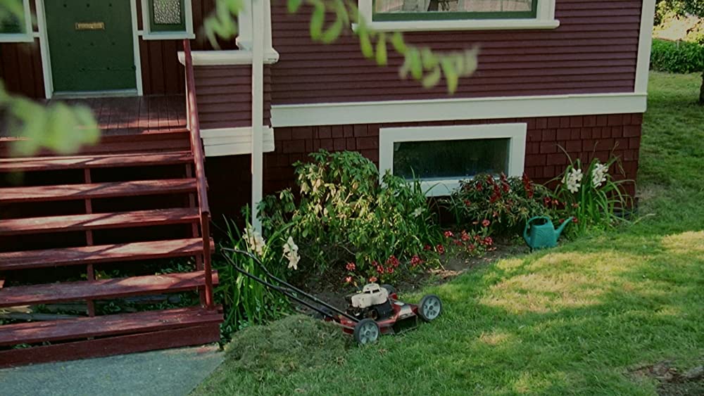 バタフライ・エフェクトの画像