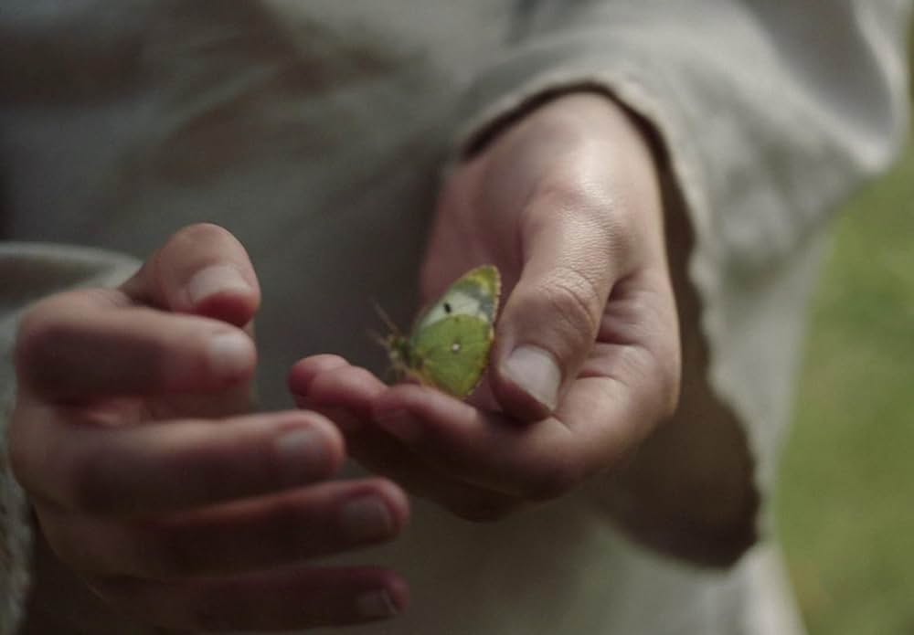 You Won't Be Alone（原題）の画像