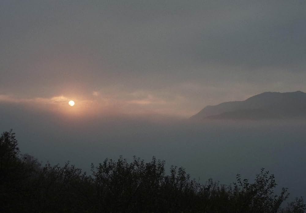 You Won't Be Alone（原題）の画像