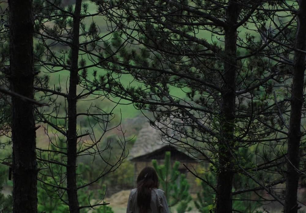 You Won't Be Alone（原題）の画像