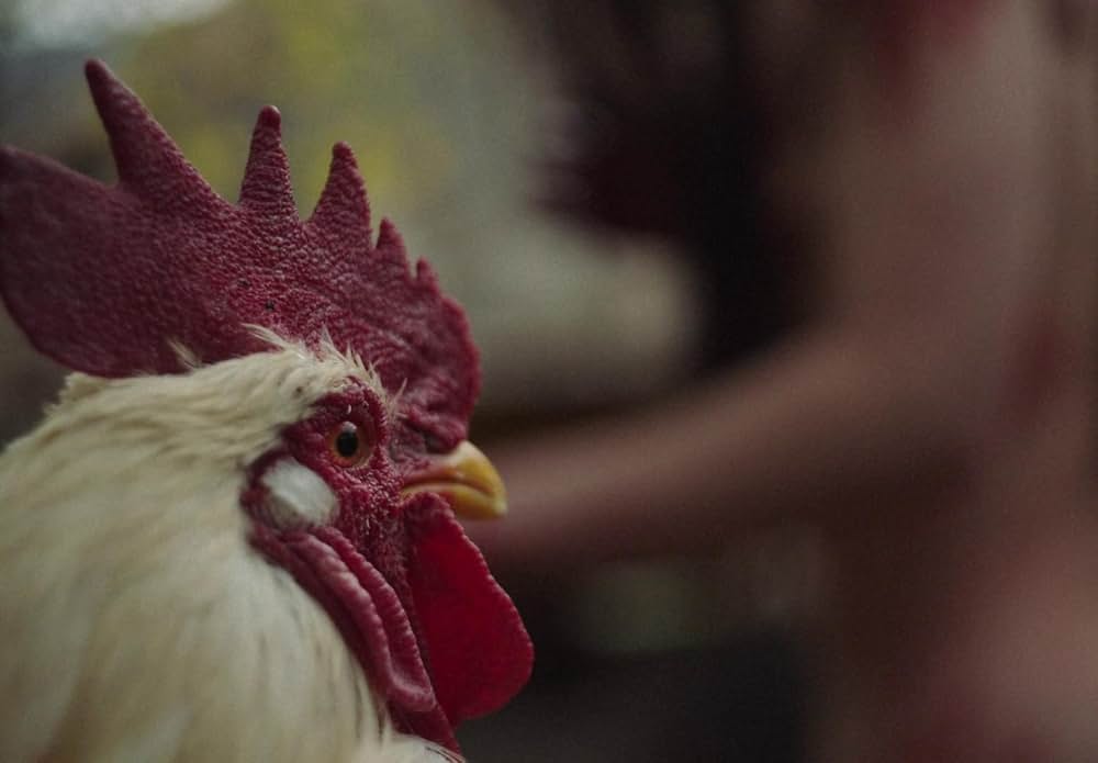 You Won't Be Alone（原題）の画像