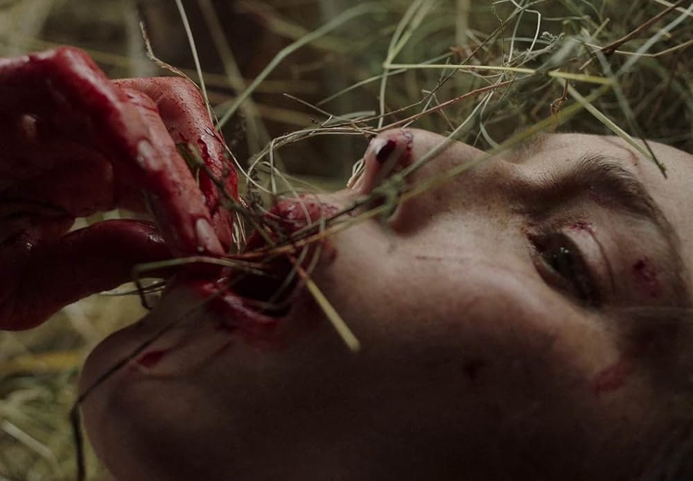 You Won't Be Alone（原題）の画像