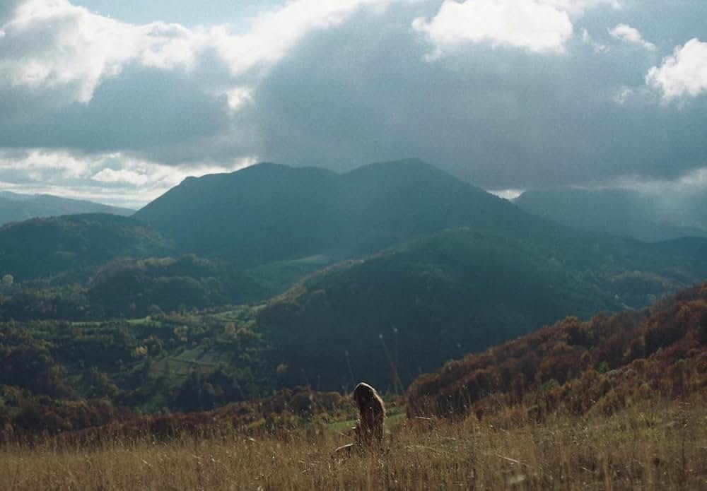 You Won't Be Alone（原題）の画像