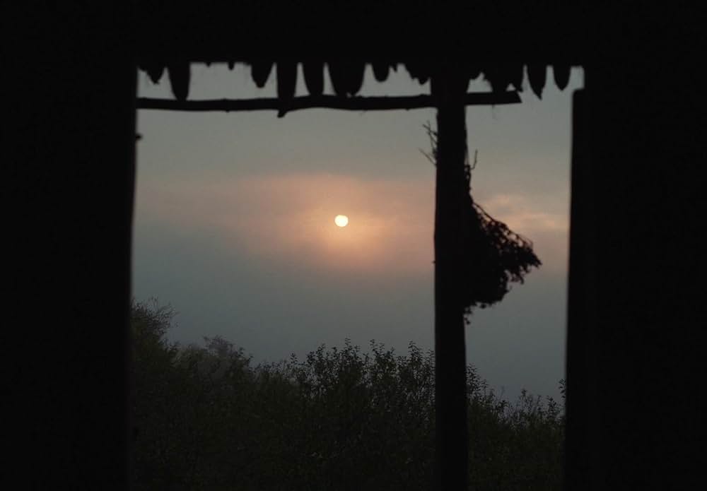 You Won't Be Alone（原題）の画像