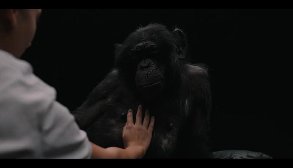 アセスメント ～愛を試す７日間～の画像