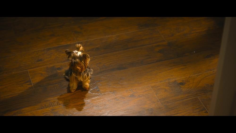 リトル・シークレット・イン・クリスマスの画像