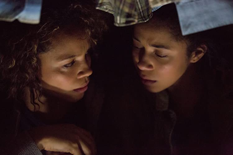 パージ：アナーキーの画像