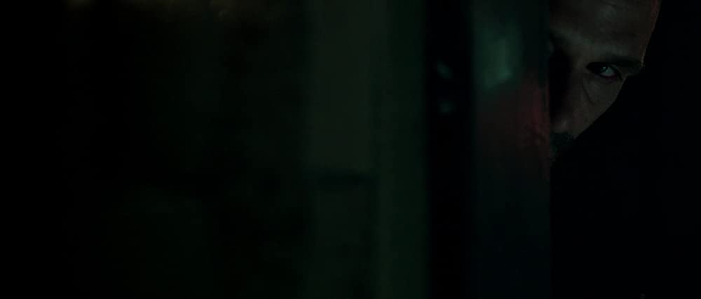 パージ：アナーキーの画像