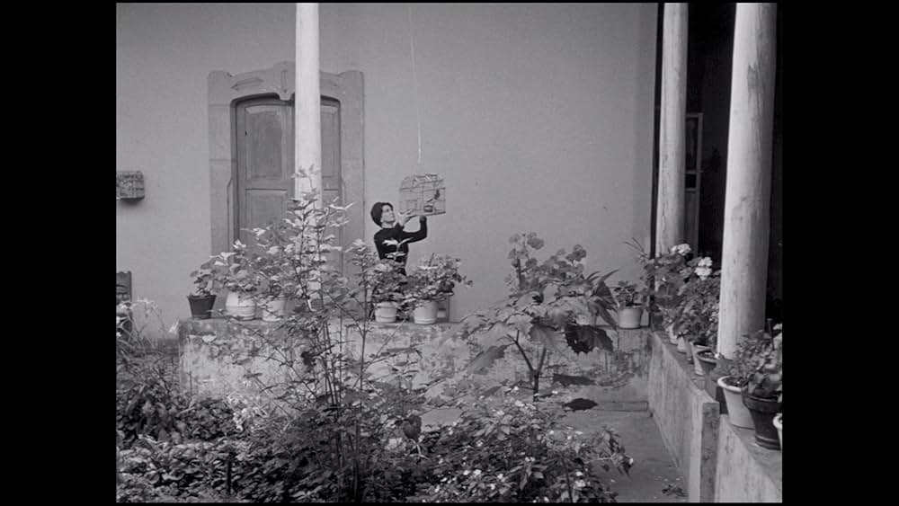 「Tiempo de morir（原題）」の画像