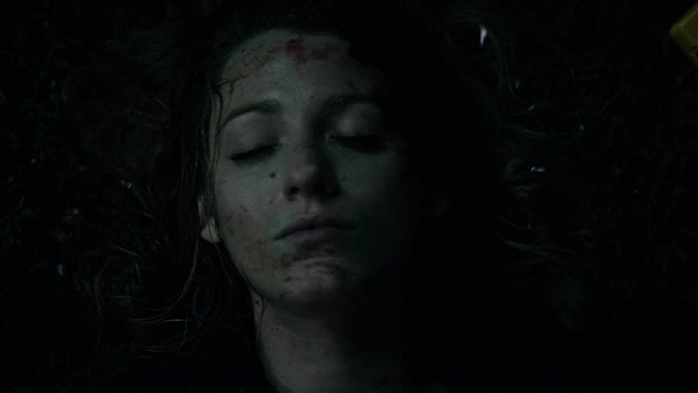 「アデライン、100年目の恋」ブレイク・ライブリーの画像