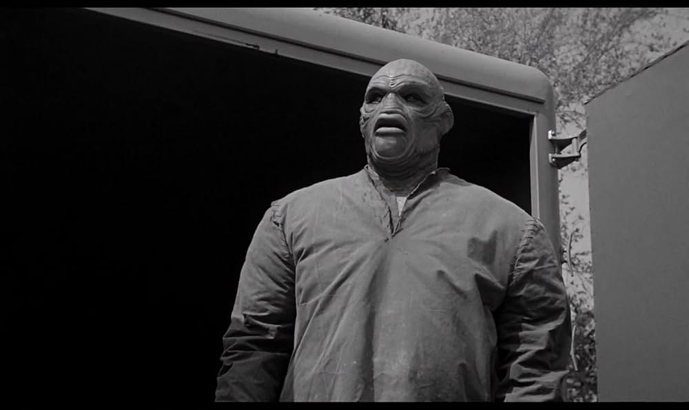 半魚人我らの中を往くの画像