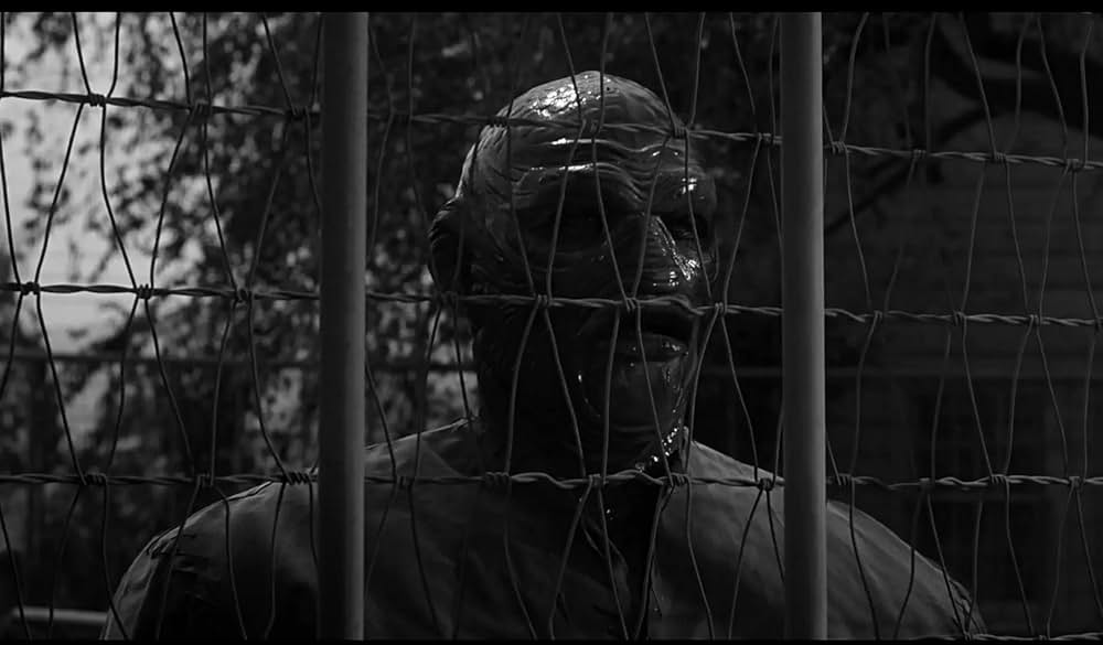 半魚人我らの中を往くの画像