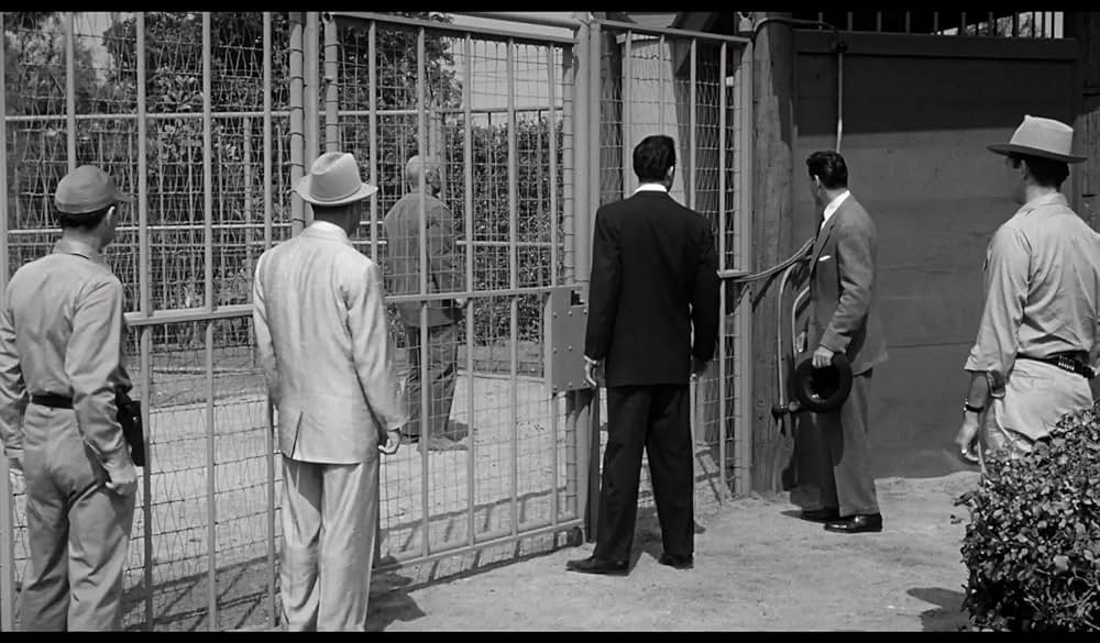 半魚人我らの中を往くの画像