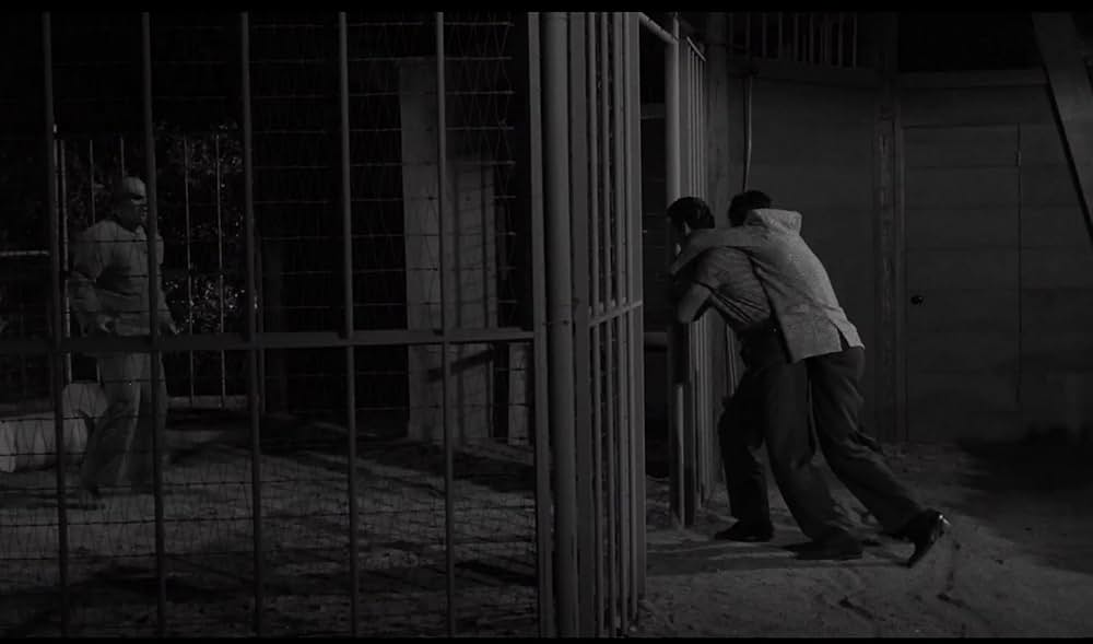 半魚人我らの中を往くの画像