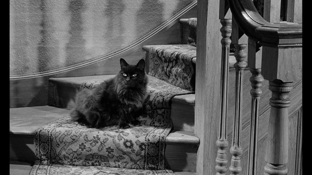 Night of the Eagle（原題）の画像